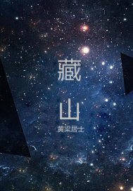 藏山小說