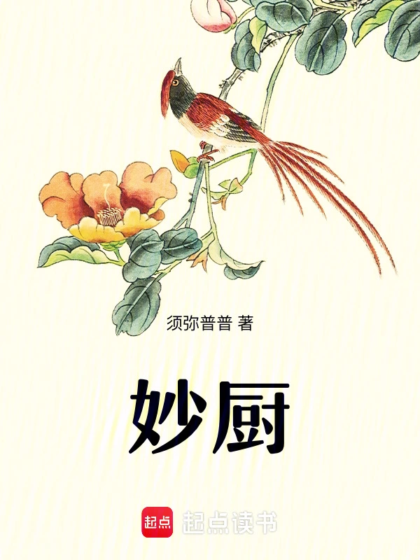 妙廚小說