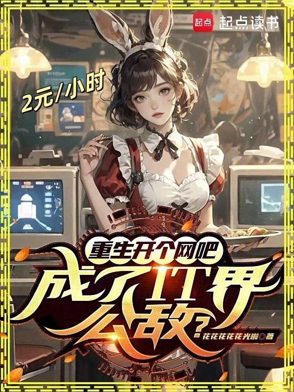 重生開個網吧，成了IT界公敵？小說